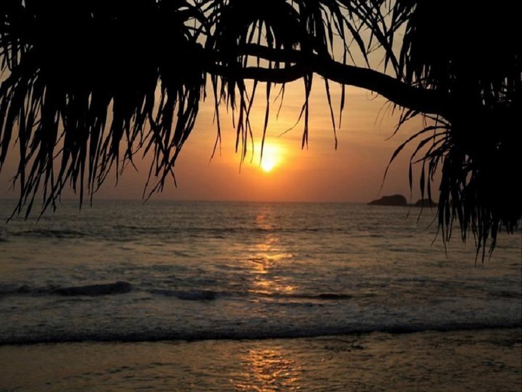 Time N Tide Beach Resort Hikkaduwa Eksteriør billede